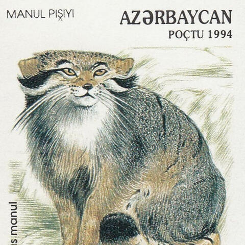 A cropped Azerbaijani postage stamp featuring an illustrated Pallas’s cat sitting upright, with text identifying the species and the 1994 issue