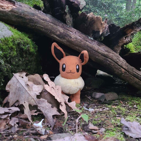 A plush Eevee rests on a forest floor covered in fallen leaves, moss, small rocks, and a decaying log