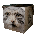 Pallas Cube