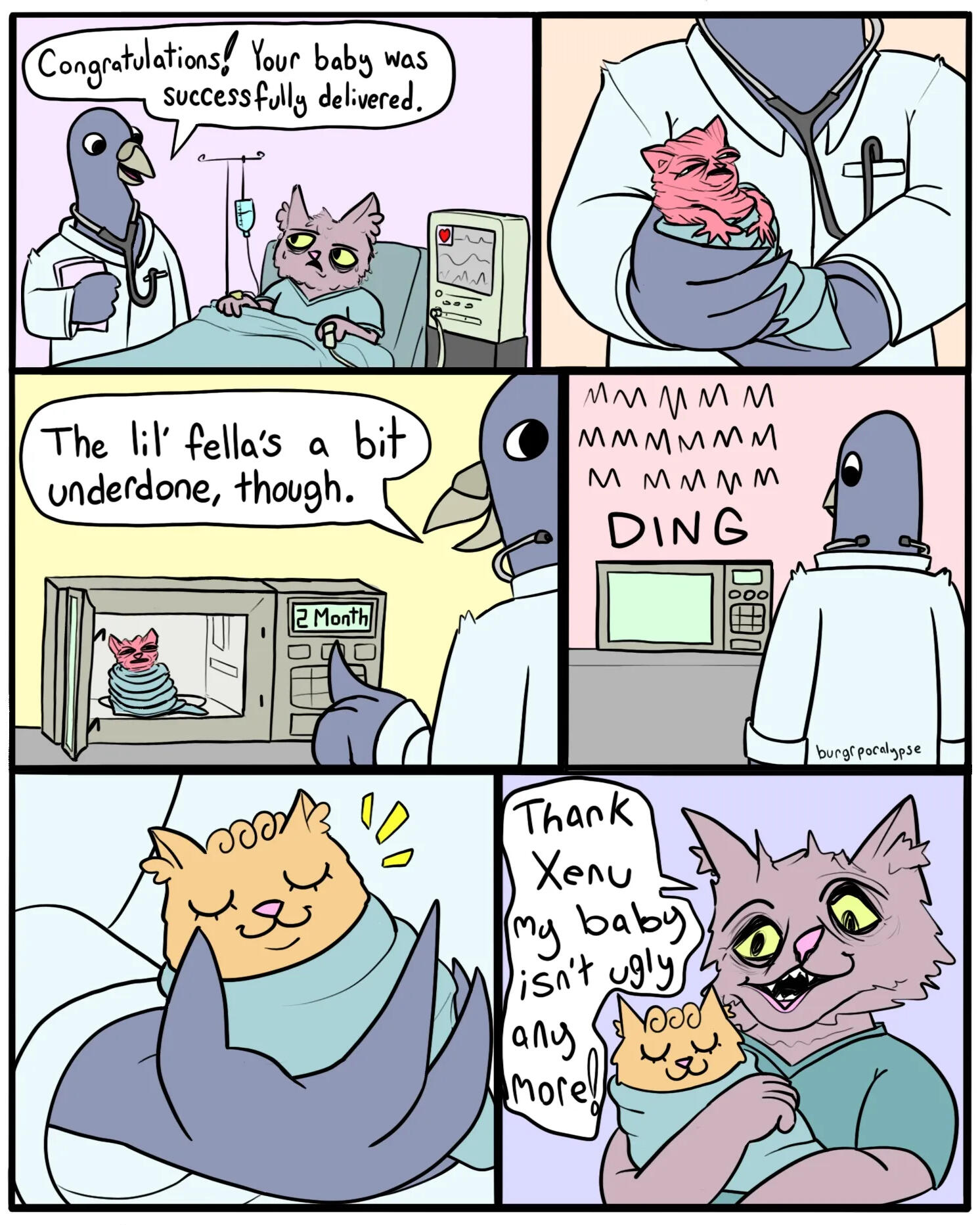 Fetus